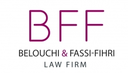BFF Law Firm - Afriwise