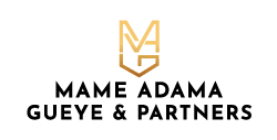 Mame Adama Gueye & Partners - Afriwise